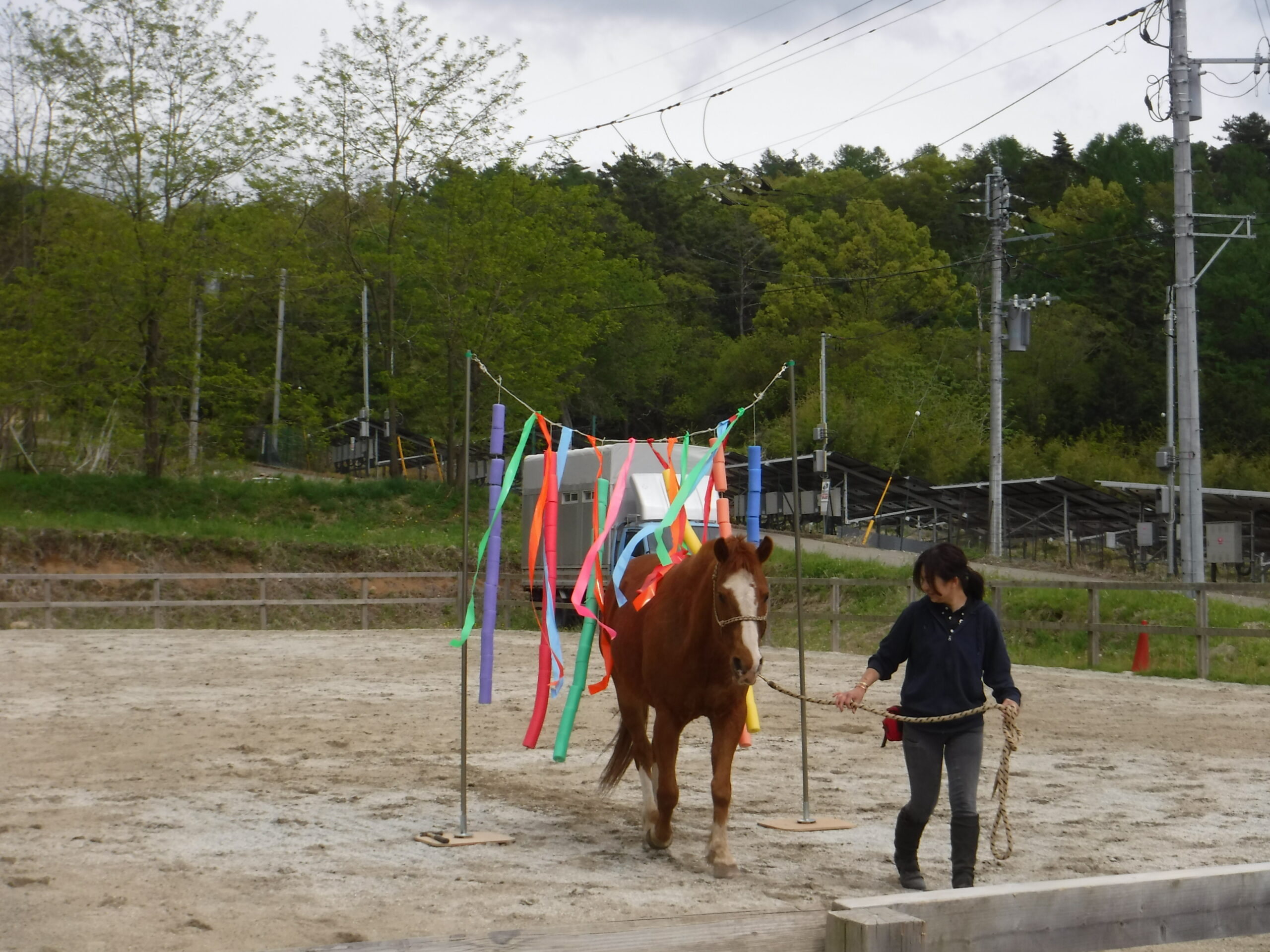 第１号 コンプリーター