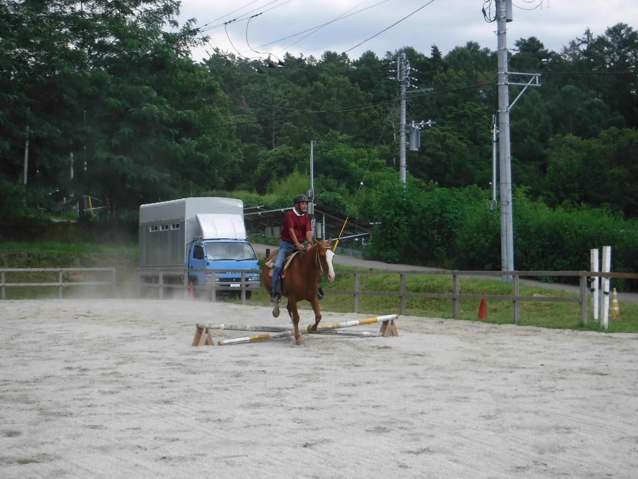 Field Rider 倒木通過練習の光景2/2