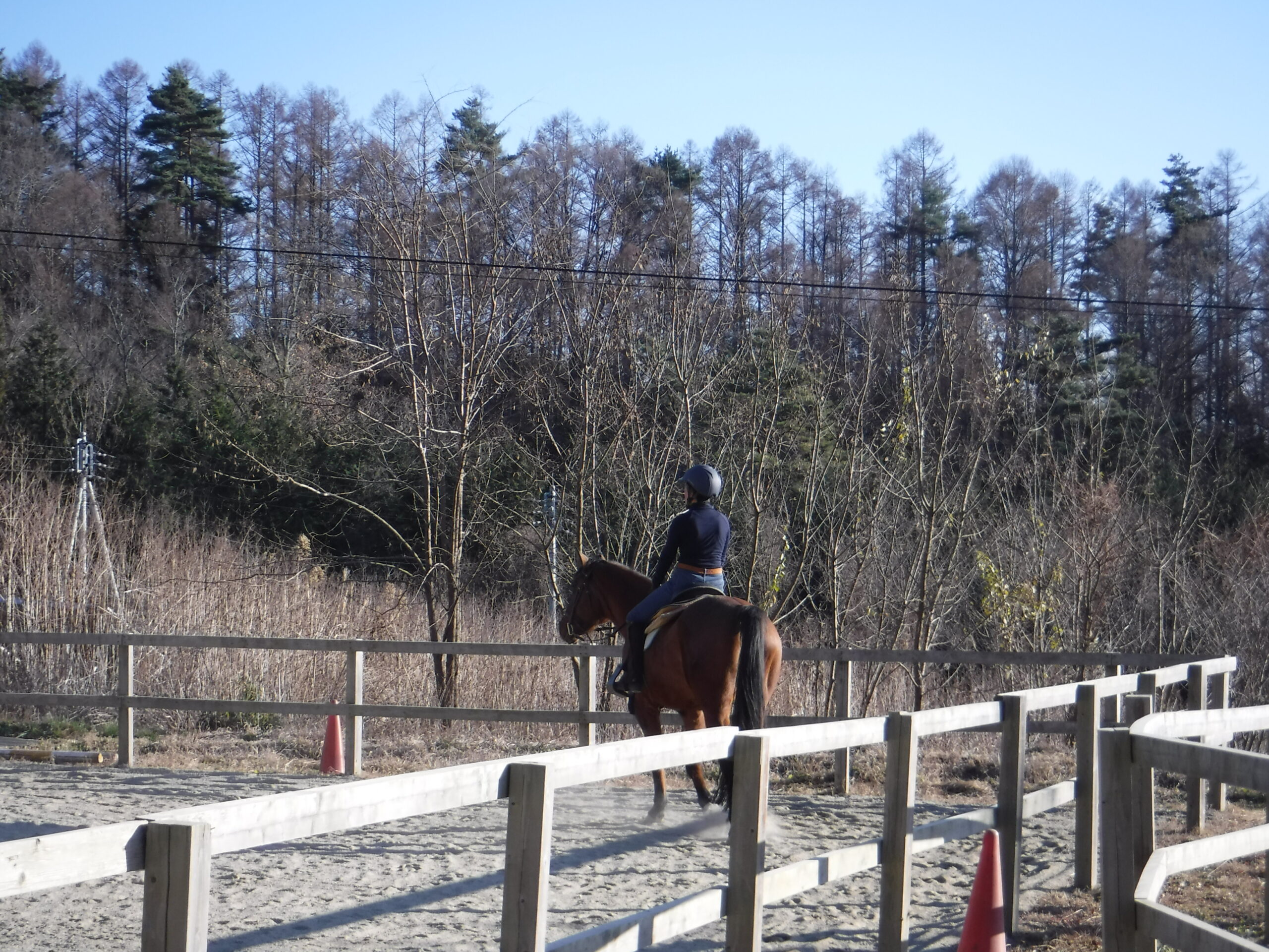 初心者の方向け≠シリーズ　『常歩発進の扶助＝速歩発進の扶助』：前編
