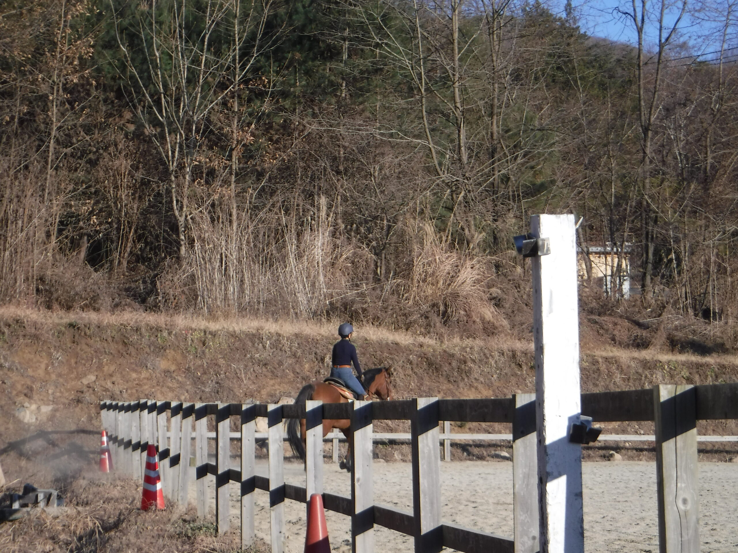 馬友倶楽部的 HAPPY SET