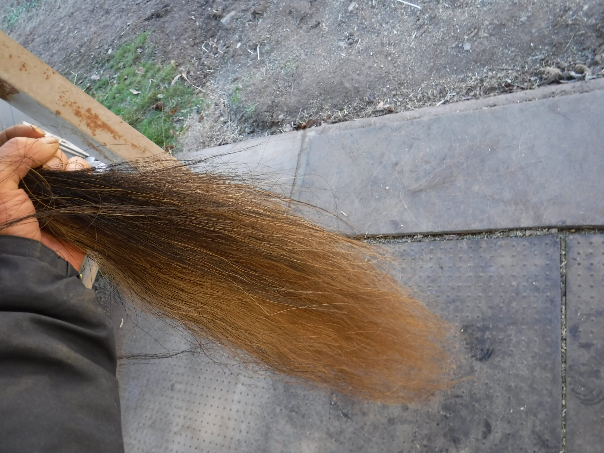 ポニーテイルをシュッシュしてみた