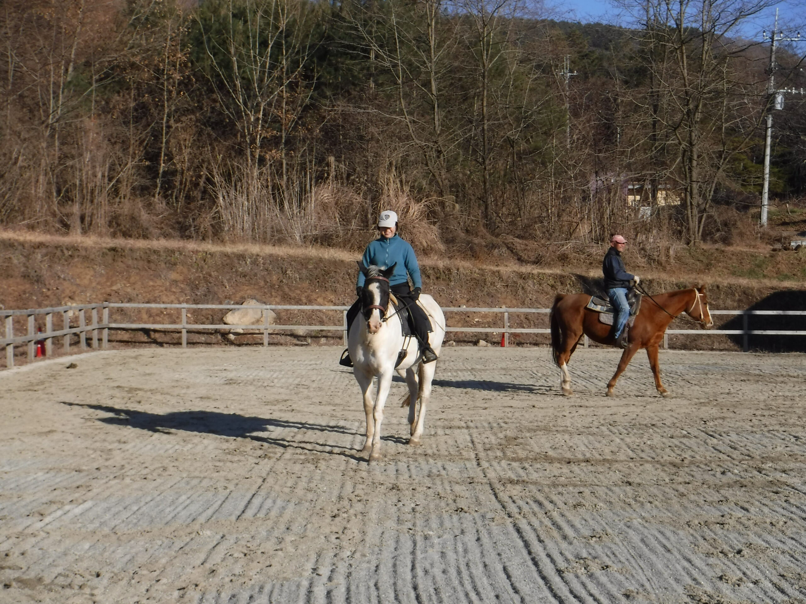 初心者の方向け≠シリーズ　『常歩発進の扶助＝速歩発進の扶助』：中編