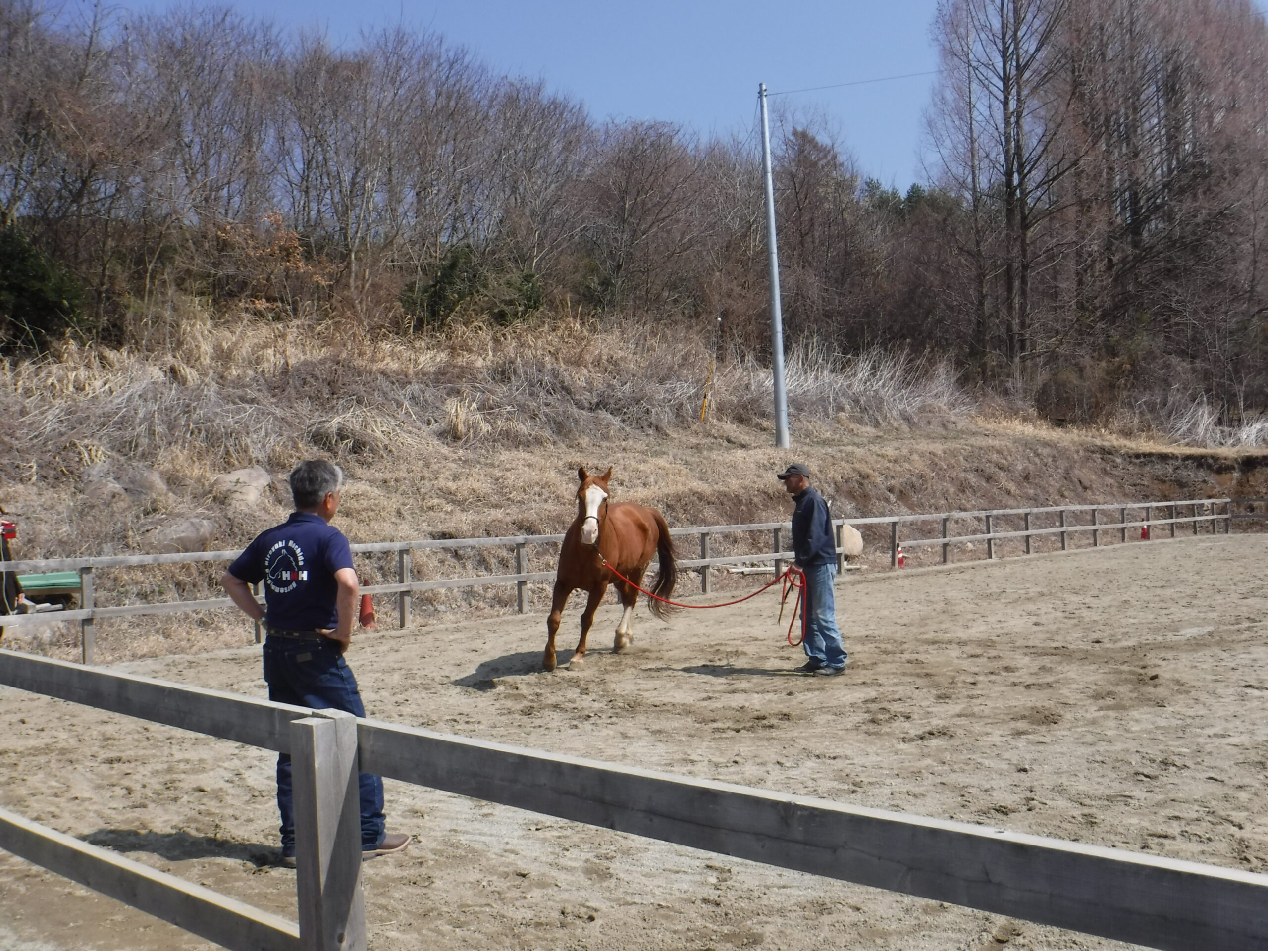 3/28　持田さんのグランドワーク講習会でした